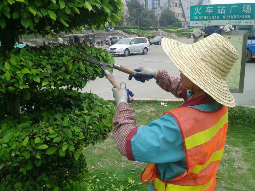 園林綠化施工要點(diǎn)
